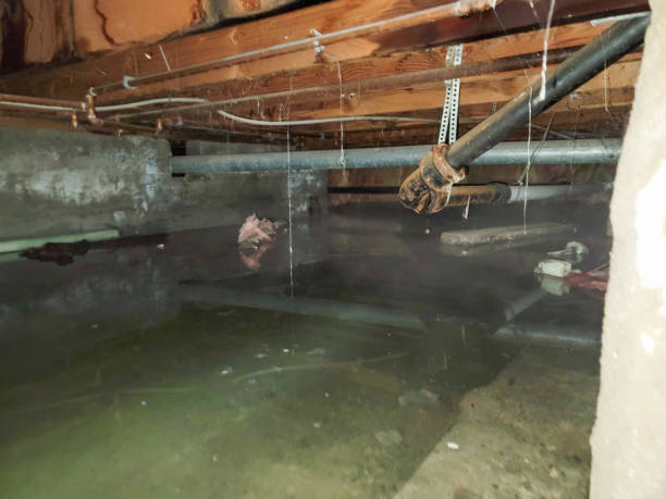 Best Residential water damage restoration  in West Lafayette, IN