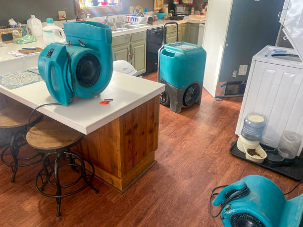 Best Ceiling water damage repair  in West Lafayette, IN