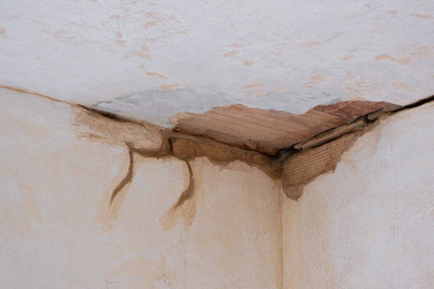 Best Professional water damage repair  in West Lafayette, IN