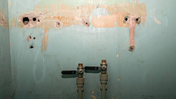 Best Professional water damage repair  in West Lafayette, IN