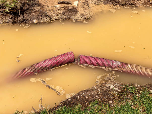 Carpet water damage restoration in IN